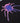 NHM Tarantula Tee - Youth - Black