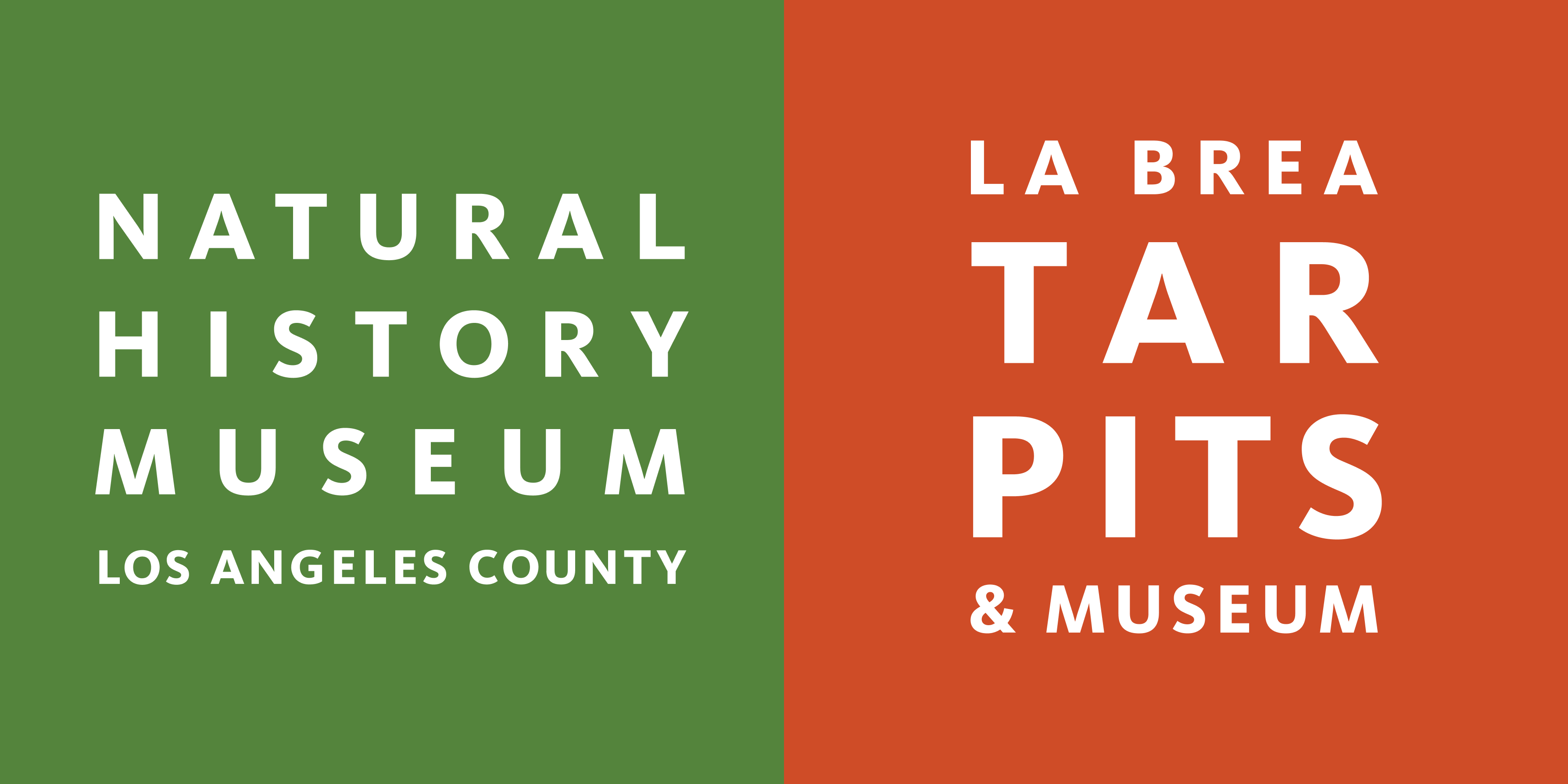 The Natural History Museum