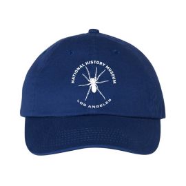 NHM Adult Spider Icon Hat